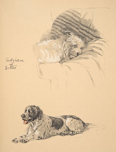 Sealyham and Setter, 1930, Illustrations from his Sketch Book used for 